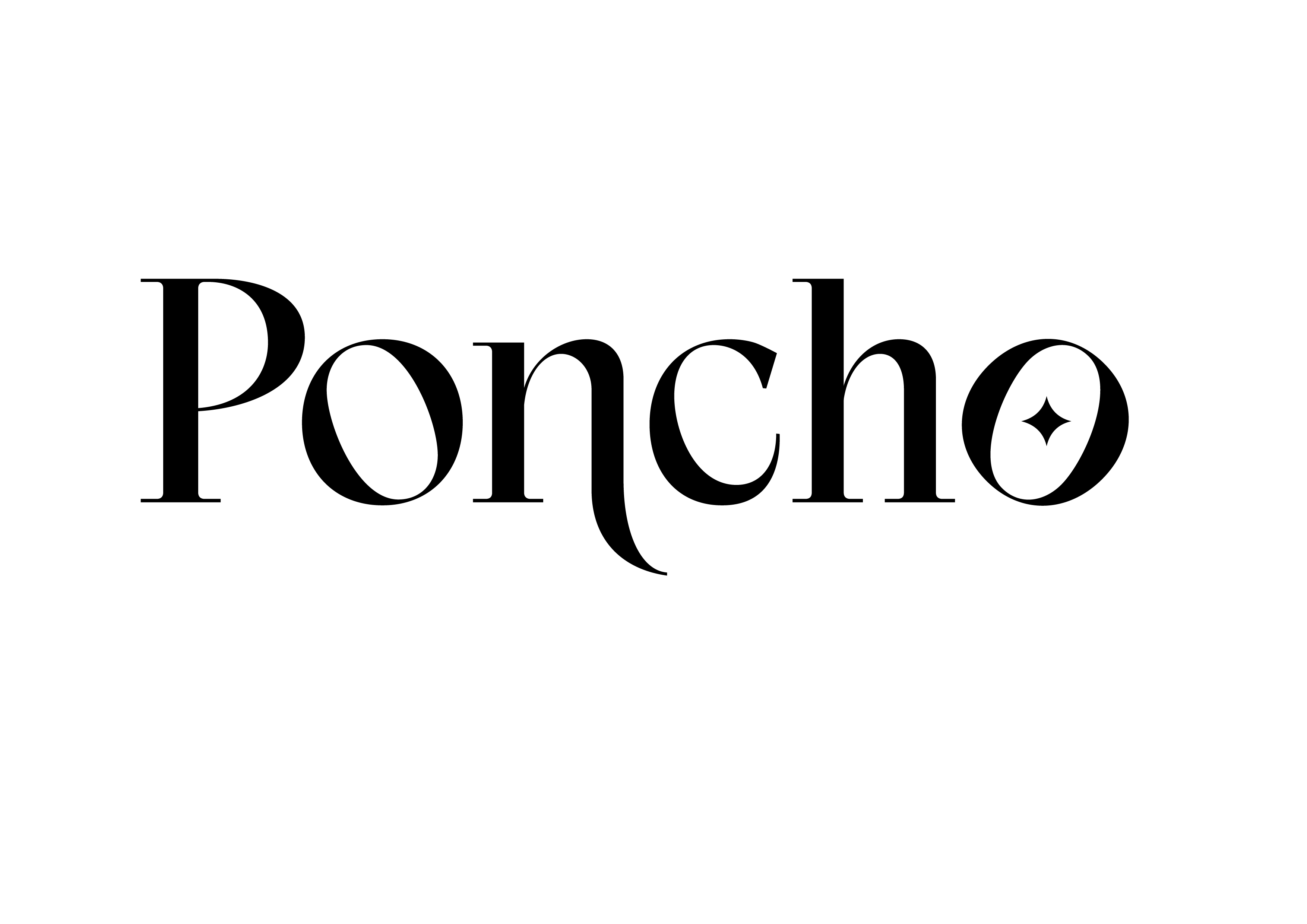 Logo Poncho